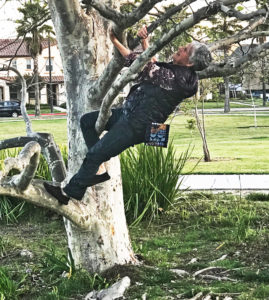 Joyce moves climbing a tree