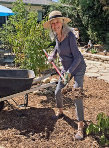 Lora at 77 gardening 2 months after hip replacement