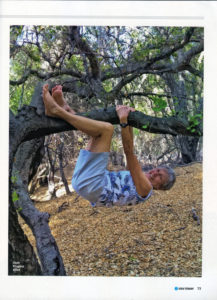 USA Today Best Years 2018 - Photo of Joan up a tree 