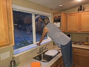 Author, Joan, washing kitchen windows