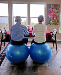 Willis and Joan sitting on big balls at dining table with view