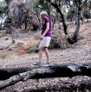 Fallen tree as natural balance beam