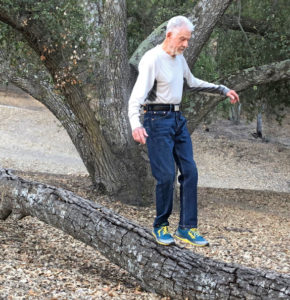 Another fallen tree with Willis balancing