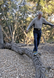 Willis moving on a fallen tree