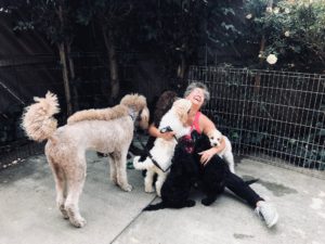 Janie and Beckett with Mobility Service Dogs' Standard Poodle Puppies