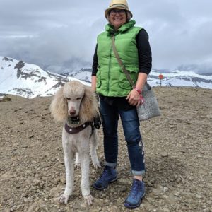 Janie with Mobility Dog Beckett