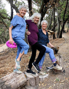 Joan, Lora, and Joyce balancing on a log near a bear swith Chainsaw Sculpted Bear