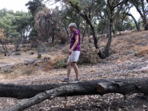Joan on Fallen Tree Balance Beam