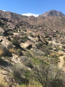 Desert Mountain Terrain