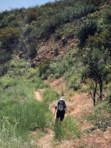 Willis hiking Gridley