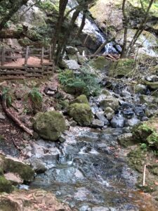 Along Cataract Falls trail