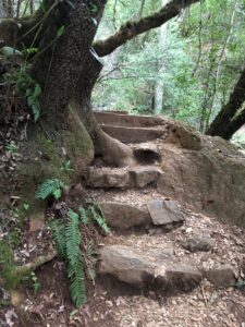 Rocks and steps on Cataract Falls trail